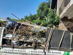 Best Property Management Cleanouts  in Saddlebrooke, AZ