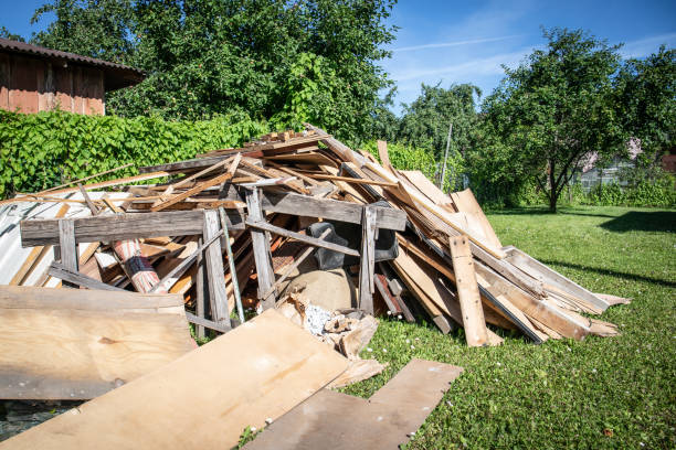 Best Shed Removal  in Saddlebrooke, AZ